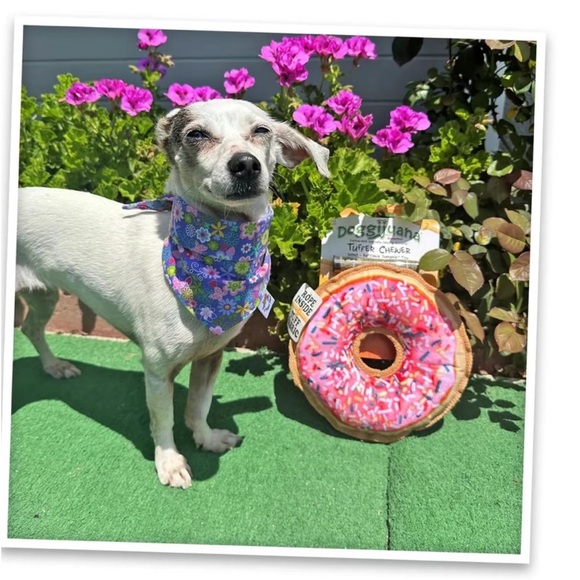 Doggijuana Donut Tuffer Chewer Toy - Picture 5 of 12